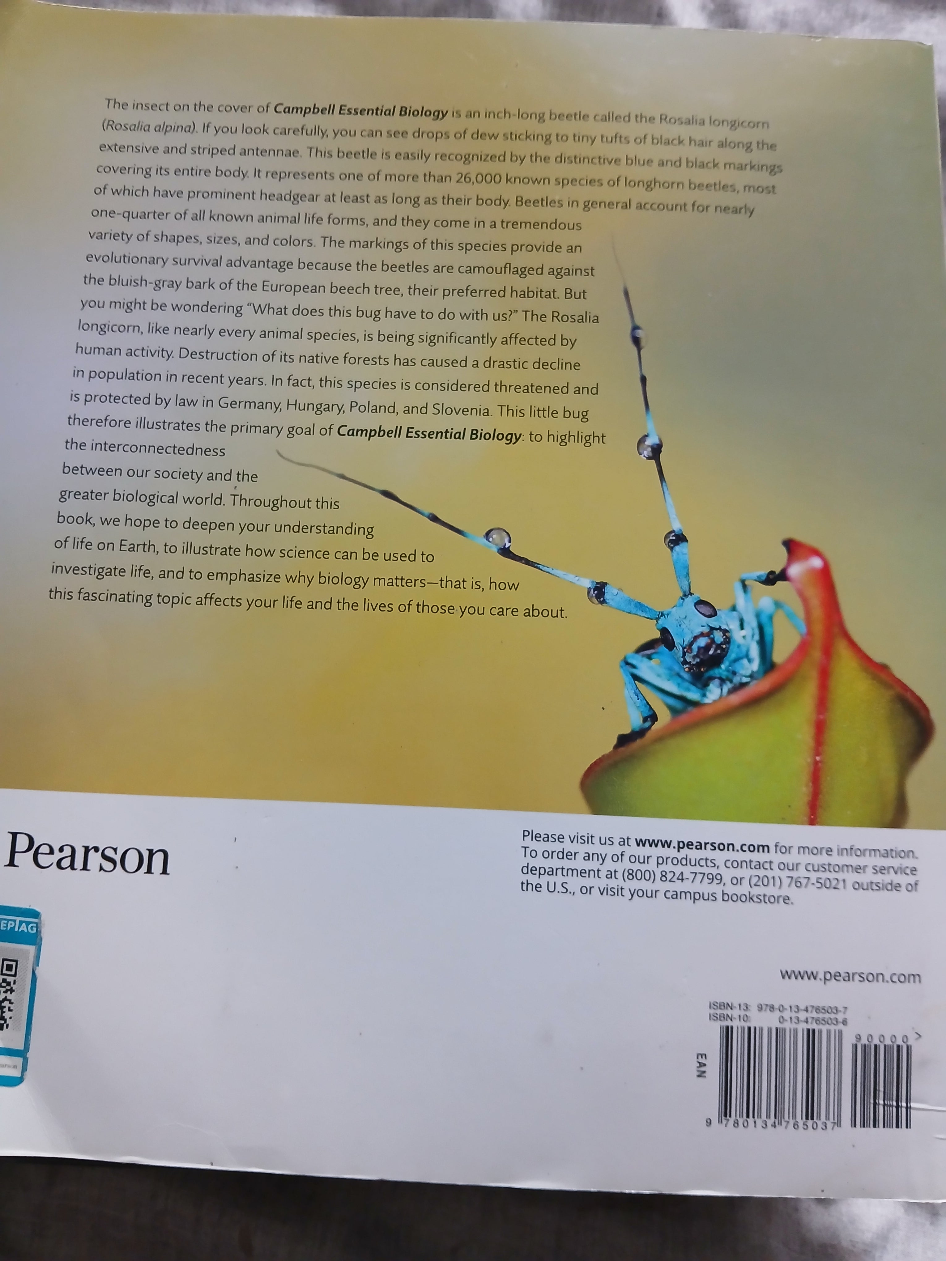 📘 Pearson College Textbook – Used