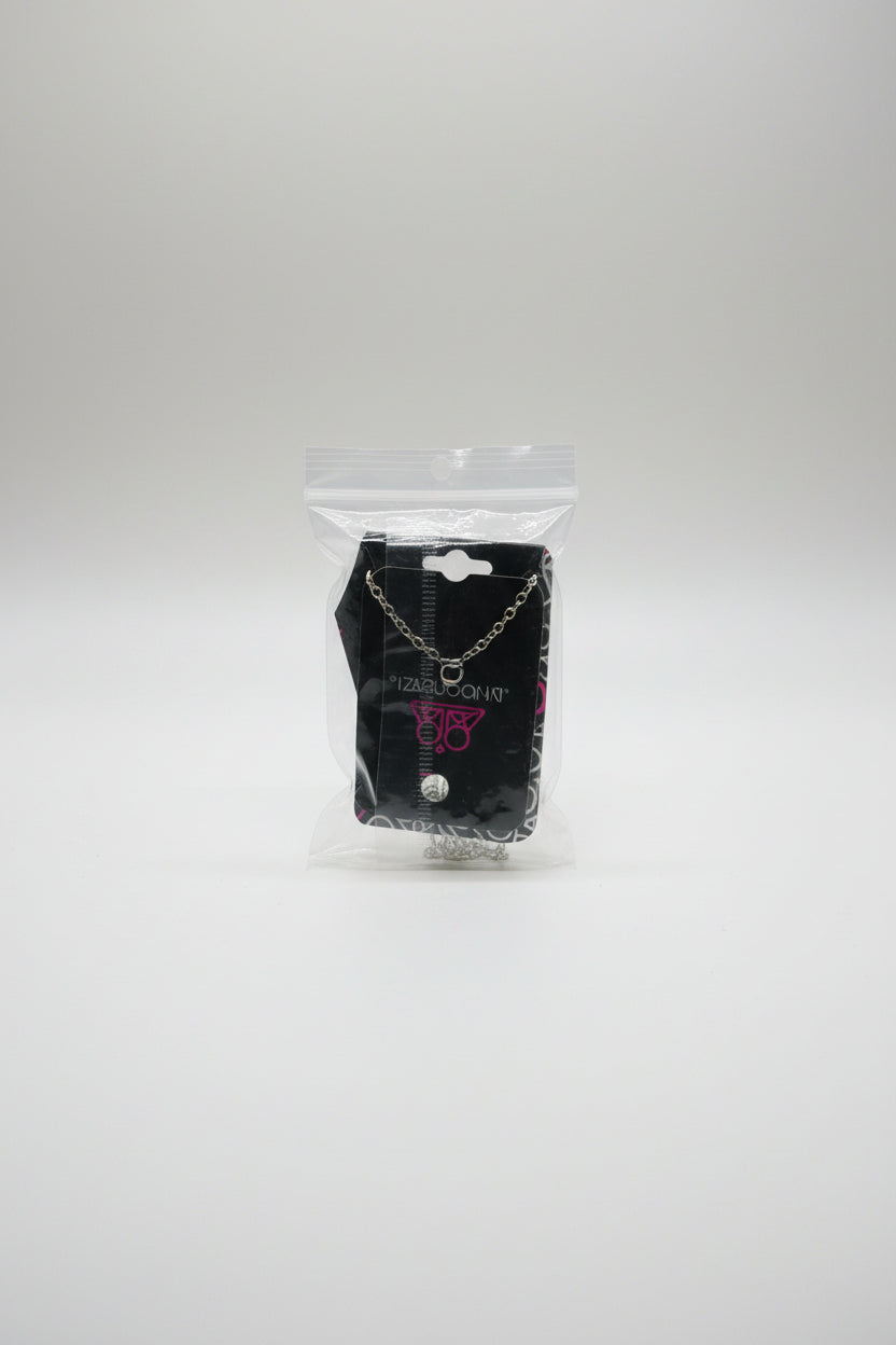 Paparazzi Silver Chain Necklace